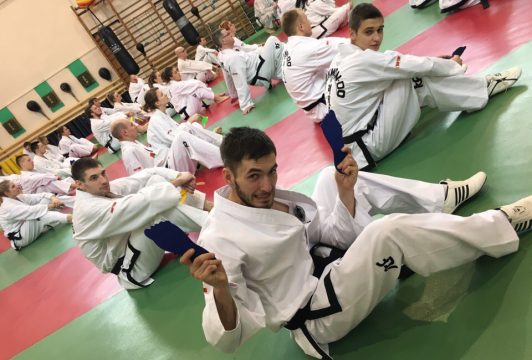 Cеминар Taekwondix