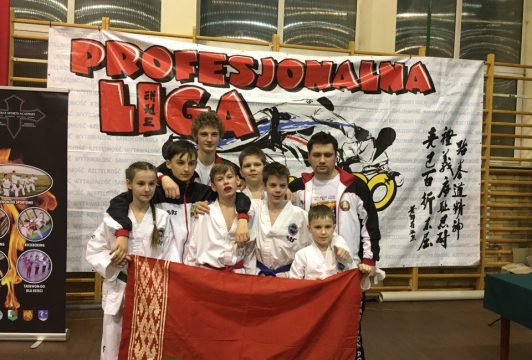Профессиональная лига таэквондо