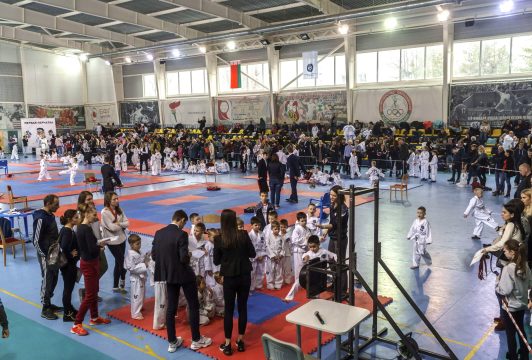 Первая Перчатка 2019