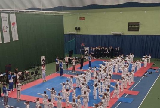 «Первая перчатка»